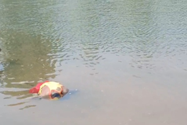 इंद्रावती नदी में डूबने से ग्रामीण की मौत
