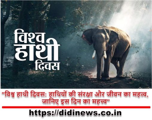"विश्व हाथी दिवस: हाथियों की संरक्षा और जीवन का महत्व, जानिए इस दिन का महत्त्व"