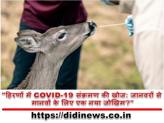"हिरणों में COVID-19 संक्रमण की खोज: जानवरों से मानवों के लिए एक नया जोखिम?"