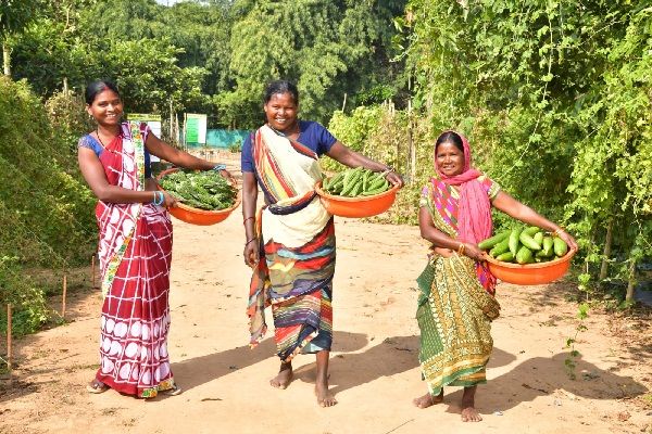 राष्ट्रीय किसान दिवसः भारत में कृषि अधोसंरचना की मजबूती के लिए वेदांता एल्यूमिनियम कटिबद्ध