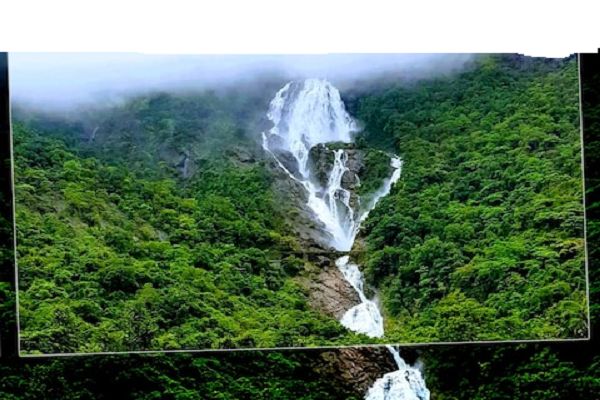 Dudhsagar Falls: 'जन्नत' जैसा नजर आ रहा दूधसागर फॉल्स, Video देखकर हो जाएंगे दीवाने