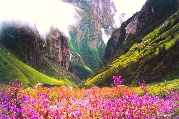 Uttarakhand Tourism: प्रकृति प्रेमियों के लिए जन्नत है विश्व प्रसिद्ध फूलों की घाटी, इस तारीख से कर सकेंगे सैर, जानिए खर्चा समेत पूरी डिटेल