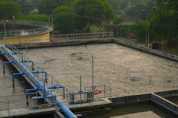 भारत में मजबूत हो रही है ईएसजी लीडरशिप