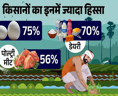  किसान, व्यापारी या थोक विक्रेता... सब्जियों की बढ़ती कीमत से किसे सबसे ज्यादा फायदा?