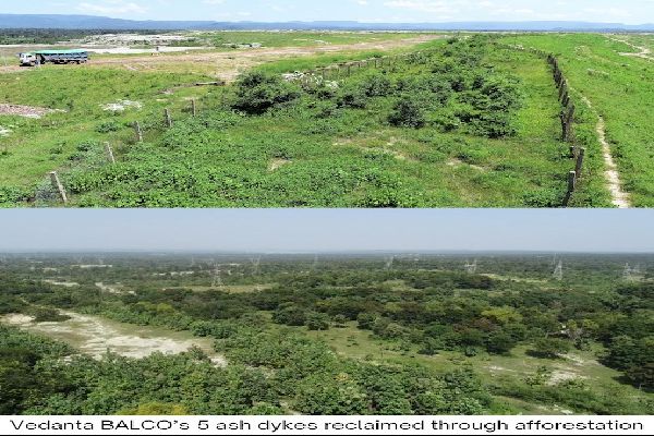  अंतर्राष्ट्रीय वन दिवसः वेदांता एल्यूमिनियम अपने प्रचालन  क्षेत्रों में करेगा बड़े पैमाने पर वृक्षारोपण