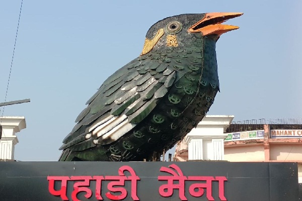 रायपुर की बढ़ा रही शोभा राजकीय पक्षी पहाड़ी मैना, कबाड़ से तैयार किया गया है, 8 फीट ऊंची सुंदर आकृति 