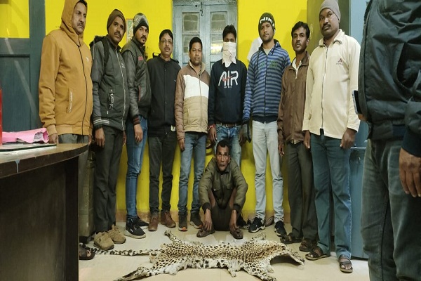  तेंदुए की खाल के साथ एक आरोपी गिरफ्तार