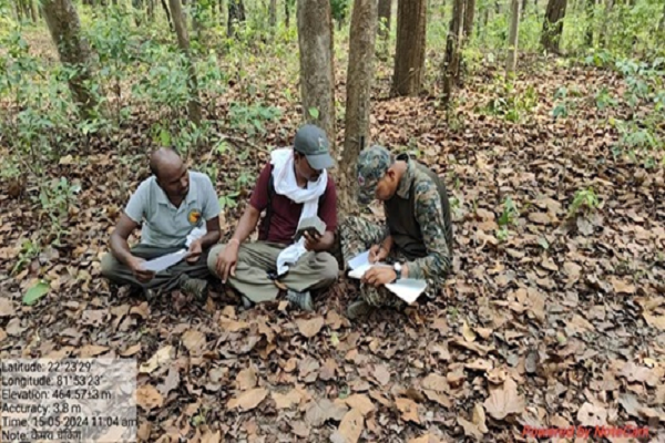 25 दिनों तक चलेगी गिनती, एटीआर में कितने बाघ