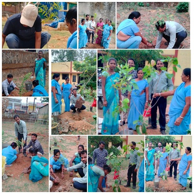 विश्व पर्यावरण दिवस पर किया गया पौधरोपण
