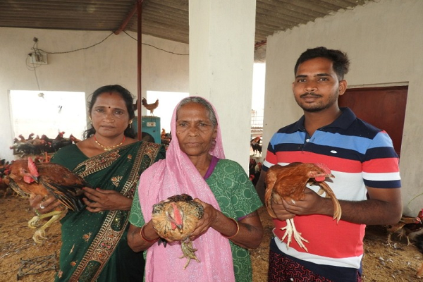 मुर्गी पालन से श्यामबाई प्रति माह मुनाफा कमा रही हैं