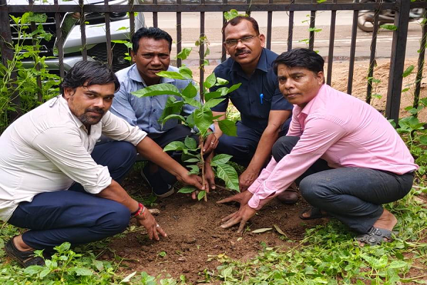जनसंपर्क विभाग के कर्मचारियों ने &rsquo;एक पेड़ मां के नाम&rsquo; अभियान के तहत किया पौधा रोपण Inbox