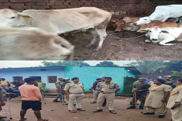 ऑपरेशन शंखनाद : 10 पशु तस्कर गिरफ्तार, 37 गौ-वंशों का रेस्क्यू