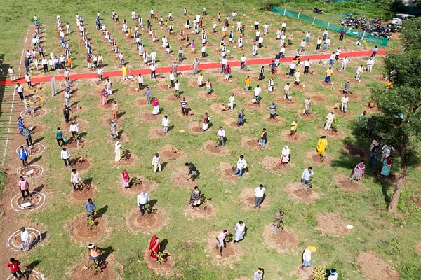 दशहरा रथ के लिए काटे गए पेड़ों की भरपाई के लिए रोपे गए 251 पौधे