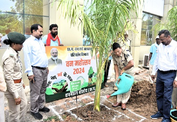 संयुक्त जिला कार्यालय परिसर में किया गया सघन पौधरोपण