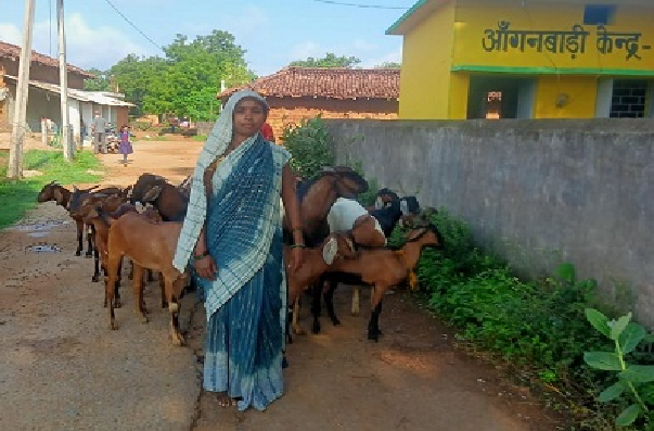 सक्षम योजना की मदद से बकरी पालन कर आत्मनिर्भर बनीं भूमिका पटेल