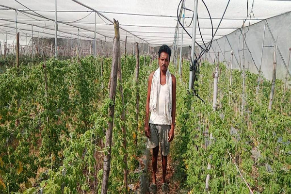 राष्ट्रीय कृषि विकास योजना से कावेराम हो रहा आर्थिक रूप से सशक्त