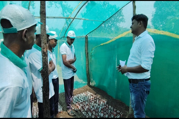 मनरेगा मजदूरों को मिला सब्जी नर्सरी प्रबंधन-उत्पादन का प्रशिक्षण