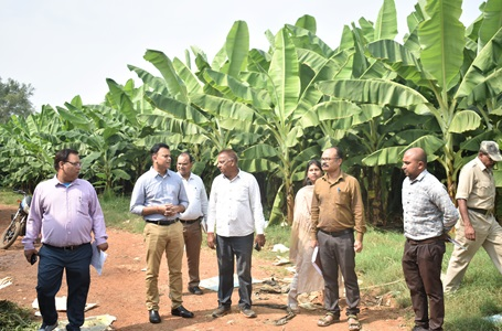 कलेक्टर ने ग्राम कोसमी केला उत्पादन के कार्य का किया अवलोकन