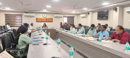 कलेक्टर तुलिका प्रजापति ने विकास कार्यों की प्रगति की समीक्षा की