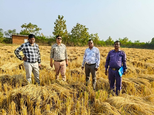 अवैध धान के आवक पर रोक लगाने प्रशासन गंभीरता से कर रहा कार्य