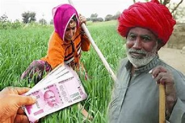 किसानों को अब तक 252 करोड़ 43 लाख का भुगतान किया गया