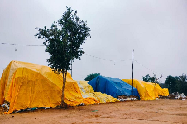 कलेक्टर ने बारिश की संभावना देखते हुए धान की सुरक्षा के निर्देश दिए