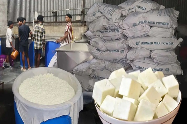 निमोरा में 4000 किलो नकली पनीर जब्त