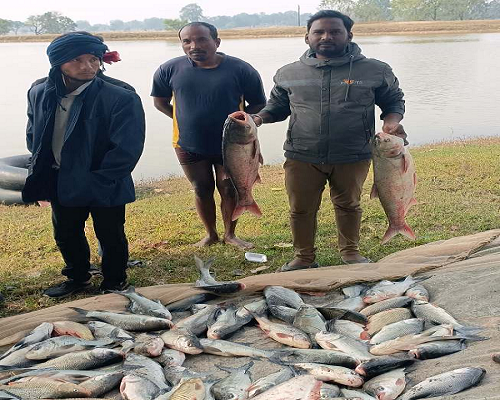 मत्स्य पालन ने बदली बसंत की जिंदगी, लाखों में हो रही कमाई
