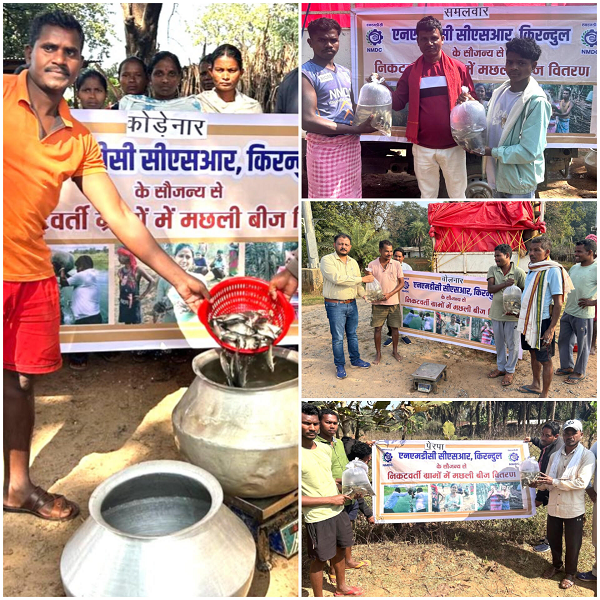एनएमडीसी किरंदुल सीएसआर विभाग के द्वारा ग्रामीण अंचलो मे मछली बीज का वितरण किया गया .