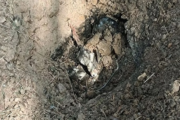 नारायणपुर में 4 आईईडी बरामद, BDS ने किया निष्क्रिय