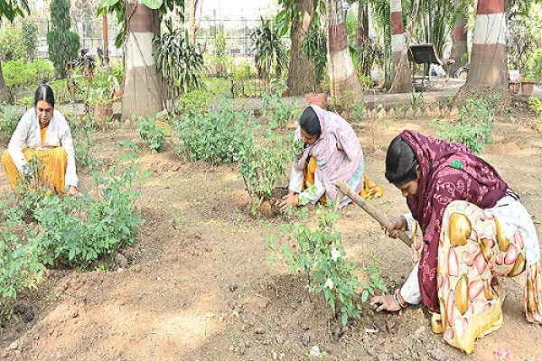 निगम भिलाई के 42 नियमित कर्मचारियो का उद्यान विभाग में डयूटी लगाई गई।