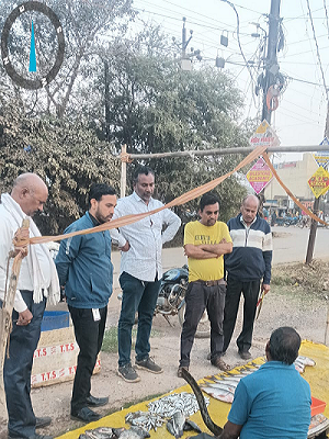  खुले में अवैध रूप से मांस मटन विक्रय करने वालो पर निगम की कर रही है कार्यवाही।