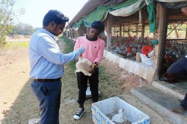 एवियन इन्फ्लूएंजा (बर्ड फ्लू) के लिए सतत निगरानी कार्य जारी