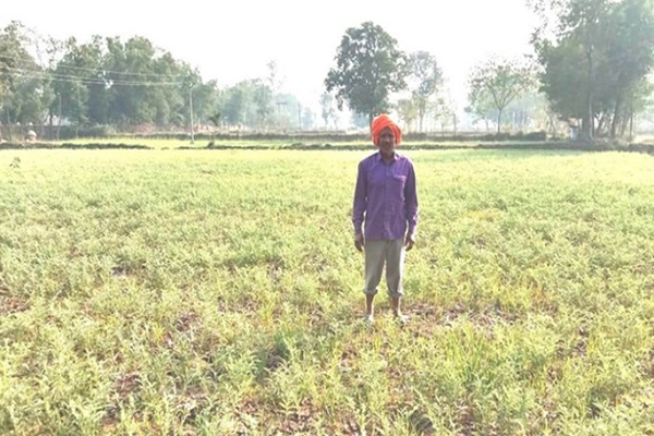 चनाबूट बेचकर किसान एक एकड़ से कमा रहे 36 से 38 हज़ार...