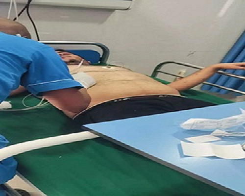 दर्शन करने पहुंचे श्रद्धालुओं पर मधुमक्खियों ने किया हमला, 10 गंभीर