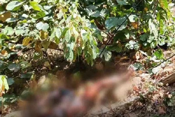 जंगल में मिली युवती की अधजली लाश, आरोपी गिरफ्तार
