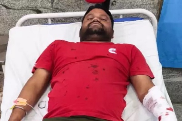 बाघिन ने किया हमला, जू कर्मचारी घायल