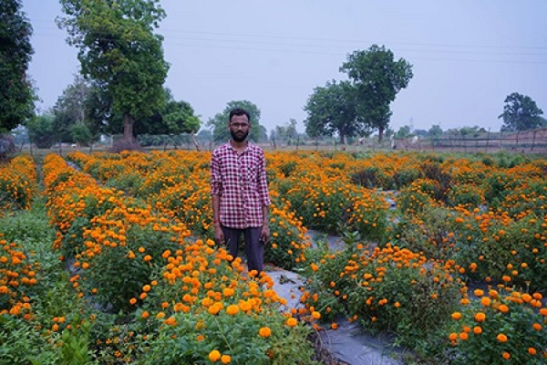 फूलों के खेती ने किसान मोती को बनाया सफल व्यवसायी