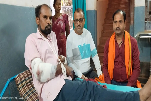 भालुओं के हमले में सफाई कर्मी घायल, राहगीरों ने पहुँचाया अस्पताल