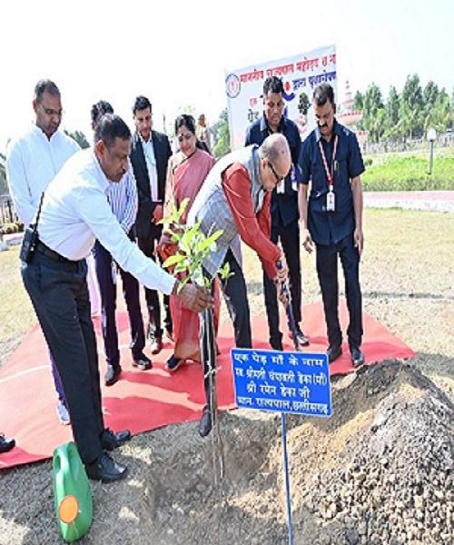 राज्यपाल ने जांजगीर चांपा में लगाया रूद्राक्ष का पौधा