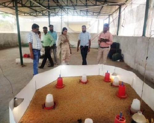 मानपुर विकासखंड में महिला समूहों की आजीविका गतिविधियों का सीईओ ने किया निरीक्षण