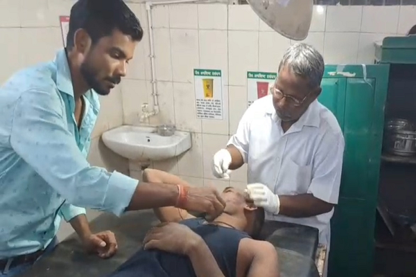 युवक पर मधुमक्खियों ने किया हमला, शरीर पर मिले सैकड़ों डंक...