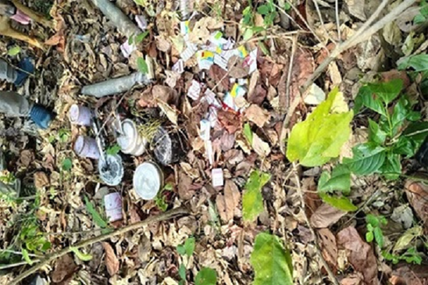 बीडीएस टीम ने डिफ्यूज किया बम, नक्सल सामग्री भी बरामद