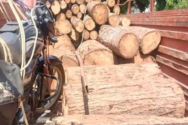 लोहत्तर के जंगल से अवैध लकड़ी से भरा वाहन पकड़ाया