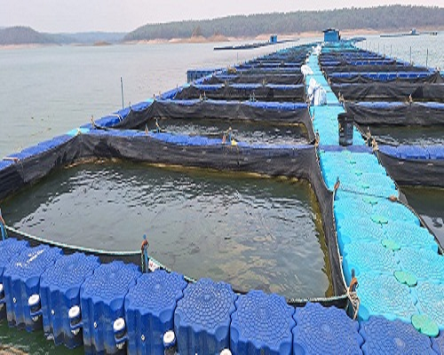 हसदेव-बांगो डूबान क्षेत्र में बनेगा छत्तीसगढ़ का पहला एक्वापार्क