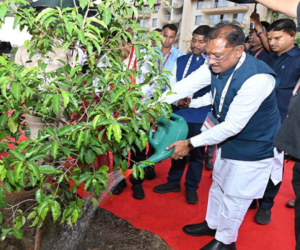 IIM परिसर में सुशासन वाटिका का शुभारंभ, सीएम साय ने लगाया मौलश्री