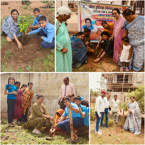 लीनेस क्लब रायपुर ने पर्यावरण दिवस पर लगाए वृक्ष