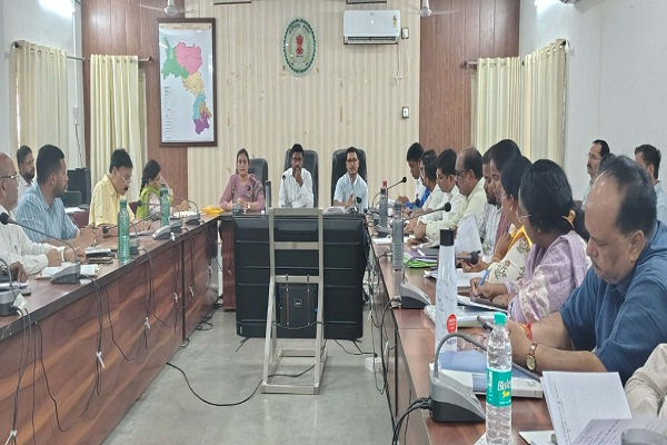 कलेक्टर ने की ग्राम पंचायतों में हितग्राही मूलक योजनाओं की समीक्षा