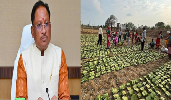 मुख्यमंत्री विष्णुदेव साय 21 जून को करेंगे चरण पादुका योजना का शुभारंभ