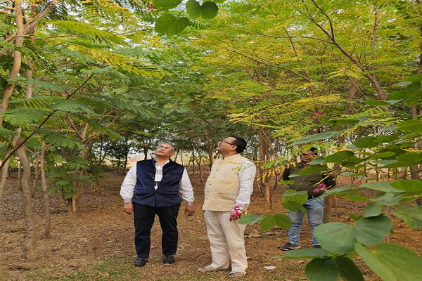 मनोहर गौशाला में विकसित हो रहा जंगल, स्वच्छंद विचरण करेंगे गौवंश